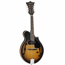 TANGLEWOOD SCROLL STYLE MANDOLIN WITH PICKUP 